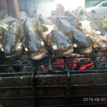 Apartman Pod Kupolou *